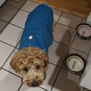 Ruffwear Stumptown Quilted Dog Coat - XS